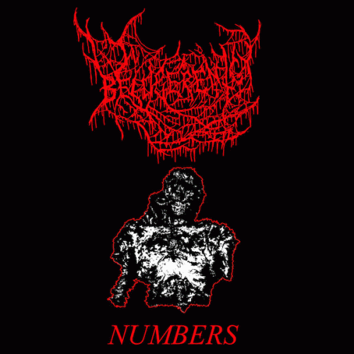 Belligerency (USA-1) : Numbers